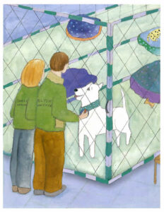 The Shelter Dog - A book for animal lovers